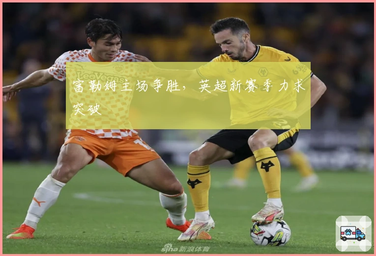 富勒姆主场争胜，英超新赛季力求突破