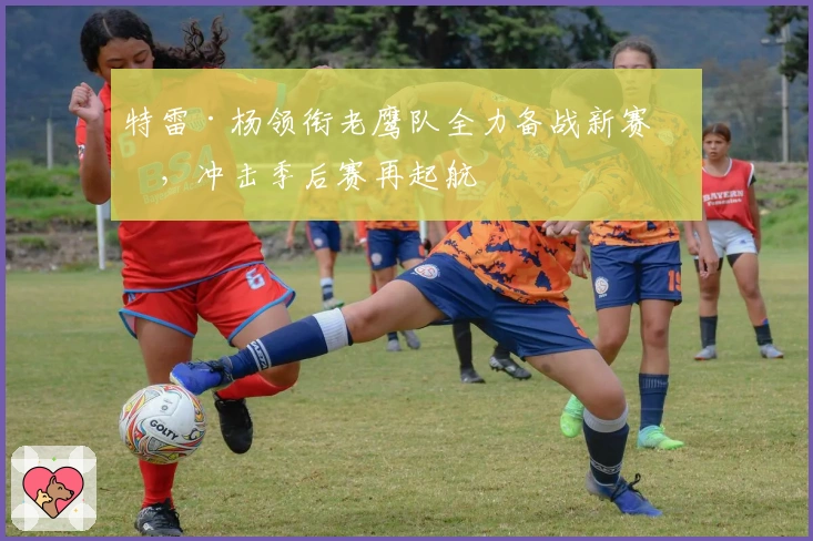 特雷·杨领衔老鹰队全力备战新赛季,冲击季后赛再起航