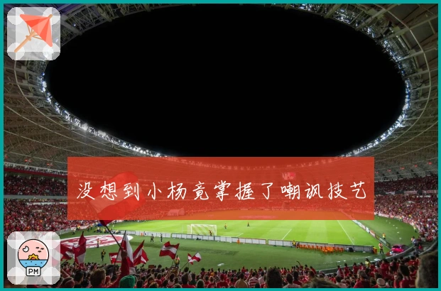 没想到小杨竟掌握了嘲讽技艺